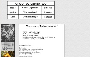 Design for the CPSC 199 Section WC course webpage. Click to see a full size image.